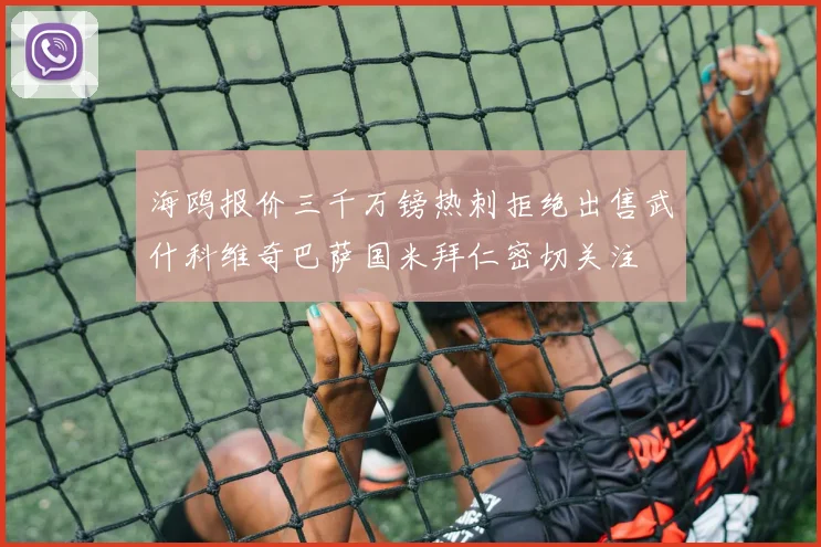 海鸥报价三千万镑热刺拒绝出售武什科维奇巴萨国米拜仁密切关注