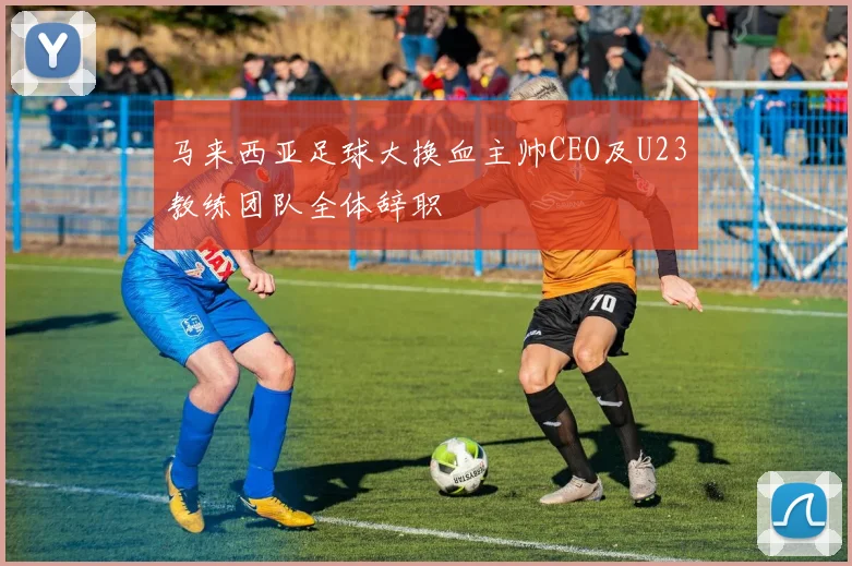 马来西亚足球大换血主帅CEO及U23教练团队全体辞职